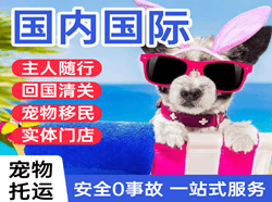 佳木斯东郊机场快递国际宠物托运 【国